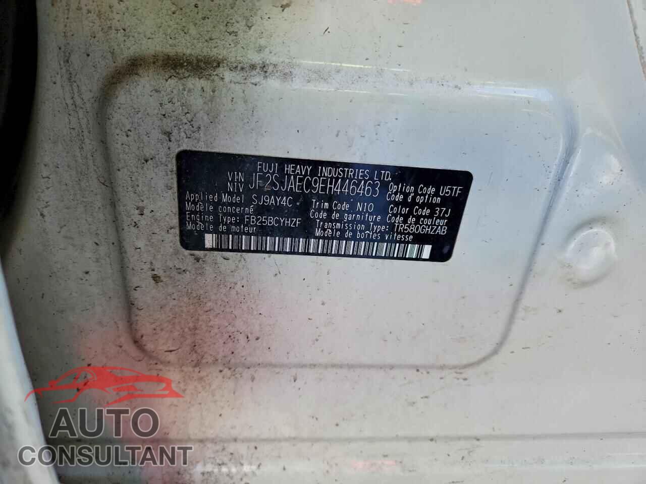SUBARU FORESTER 2014 - JF2SJAEC9EH446463