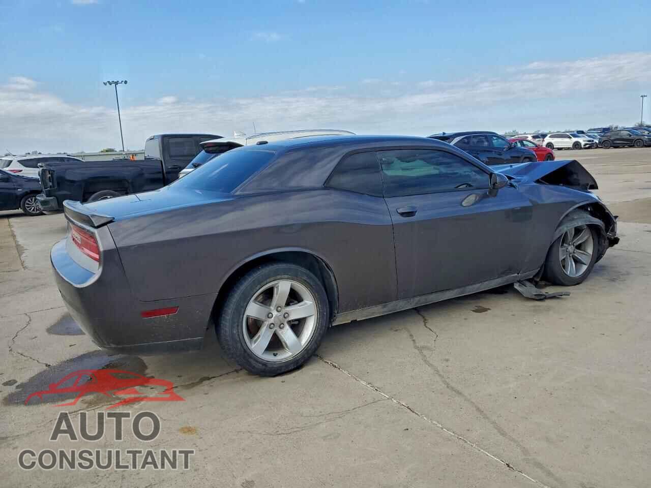 DODGE CHALLENGER 2013 - 2C3CDYAG8DH512011