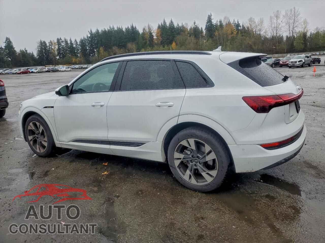 AUDI E-TRON 2022 - WA1AAAGE2NB014061
