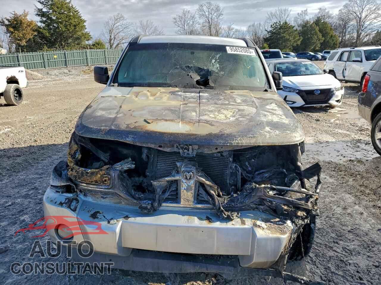 DODGE NITRO 2010 - 1D4PT2GK9AW105405