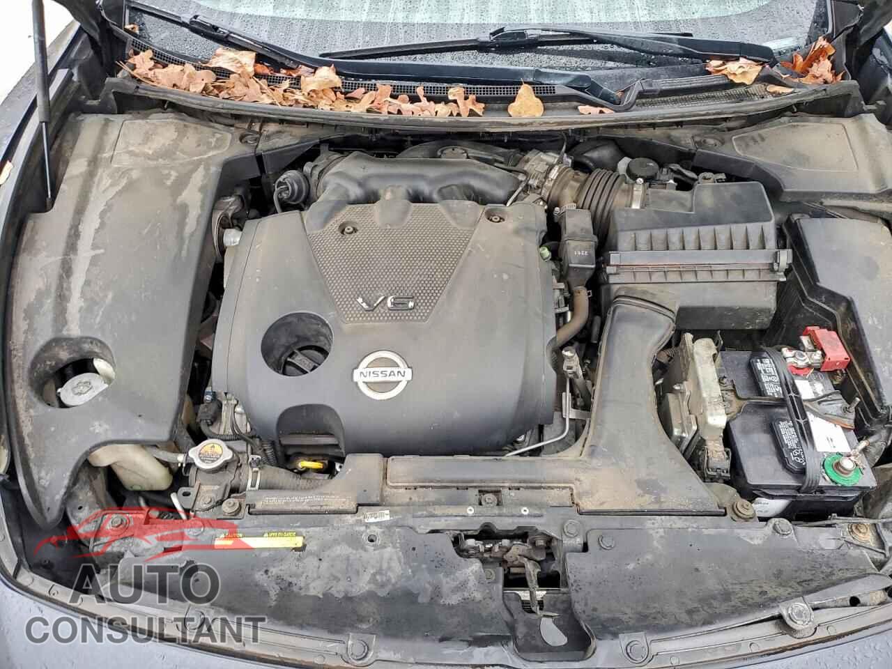 NISSAN MAXIMA 2012 - 1N4AA5AP1CC848276