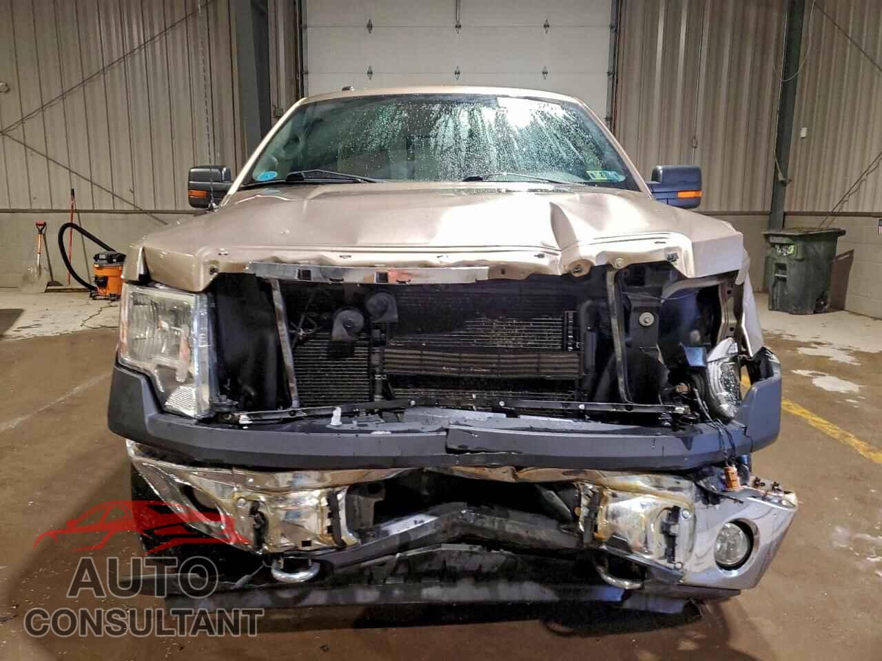 FORD F-150 2013 - 1FTFX1EFXDFD79195