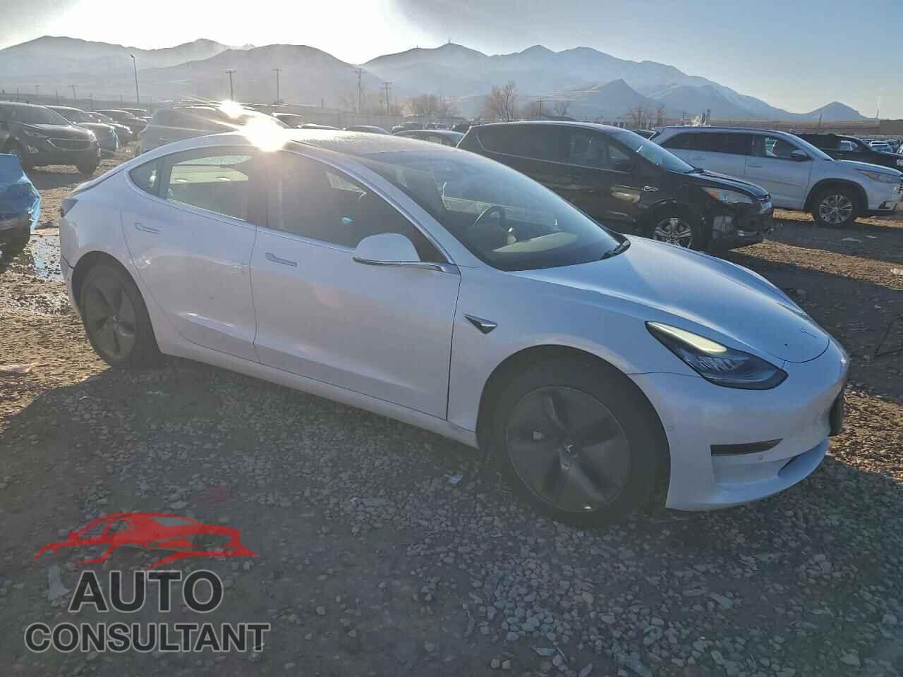 TESLA MODEL 3 2019 - 5YJ3E1EA1KF485209