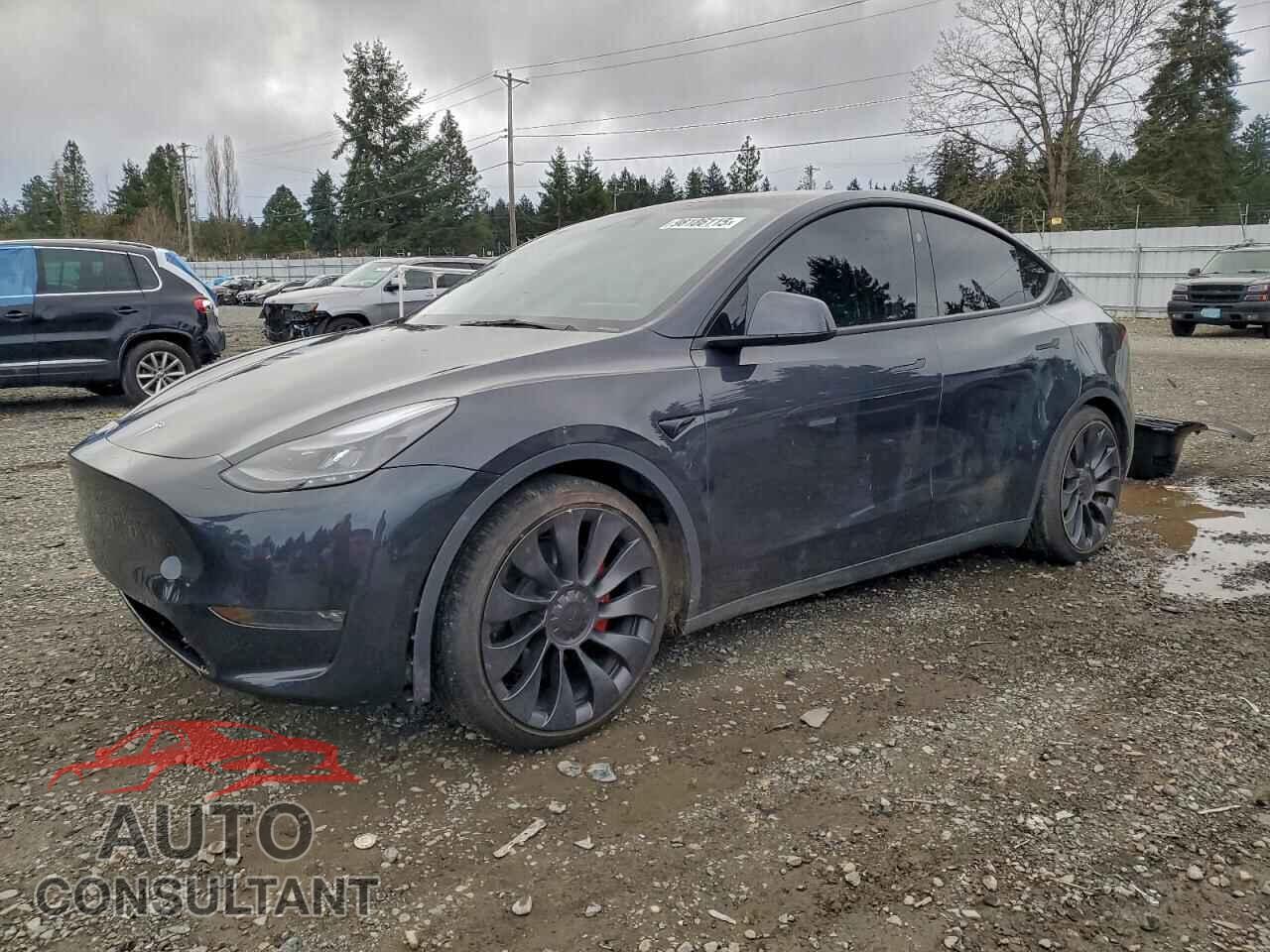 TESLA MODEL Y 2025 - 7SAYGDEF2SF267568