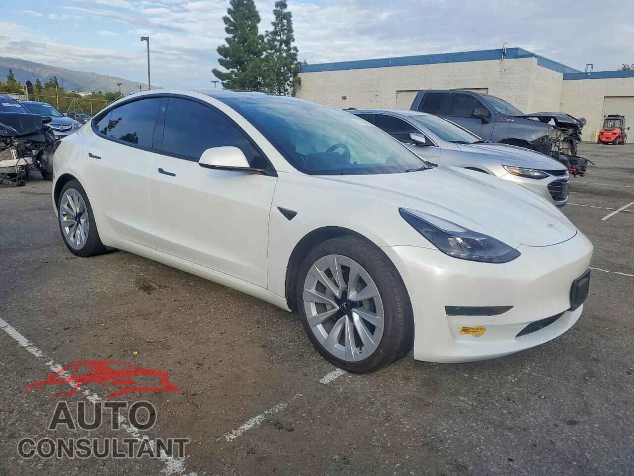 TESLA MODEL 3 2021 - 5YJ3E1EAXMF100944
