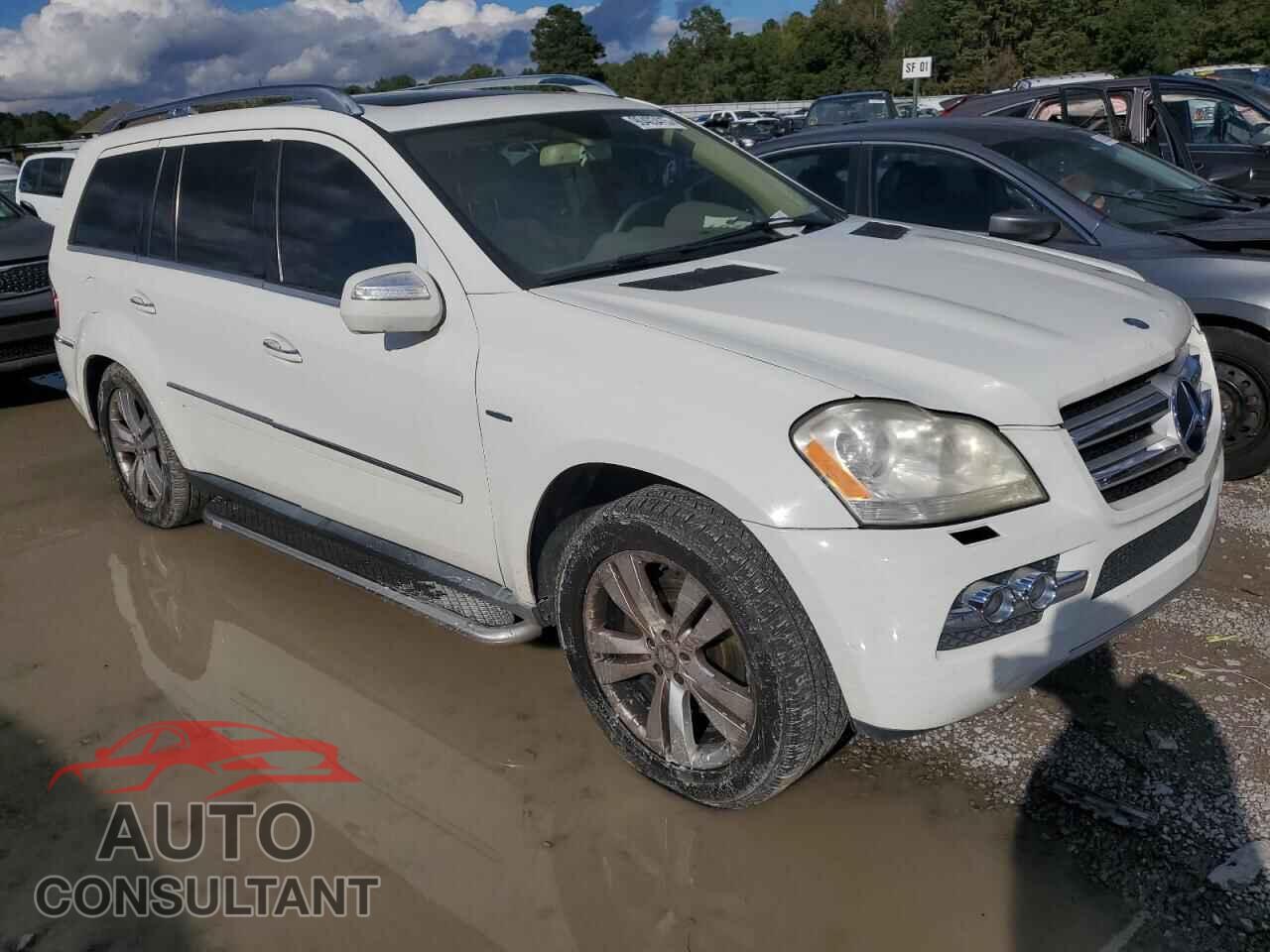 MERCEDES-BENZ GL-CLASS 2010 - 4JGBF2FE4AA582472