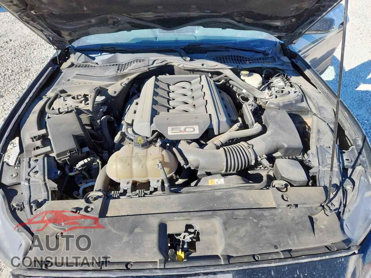 FORD MUSTANG 2017 - 1FA6P8CF3H5351803