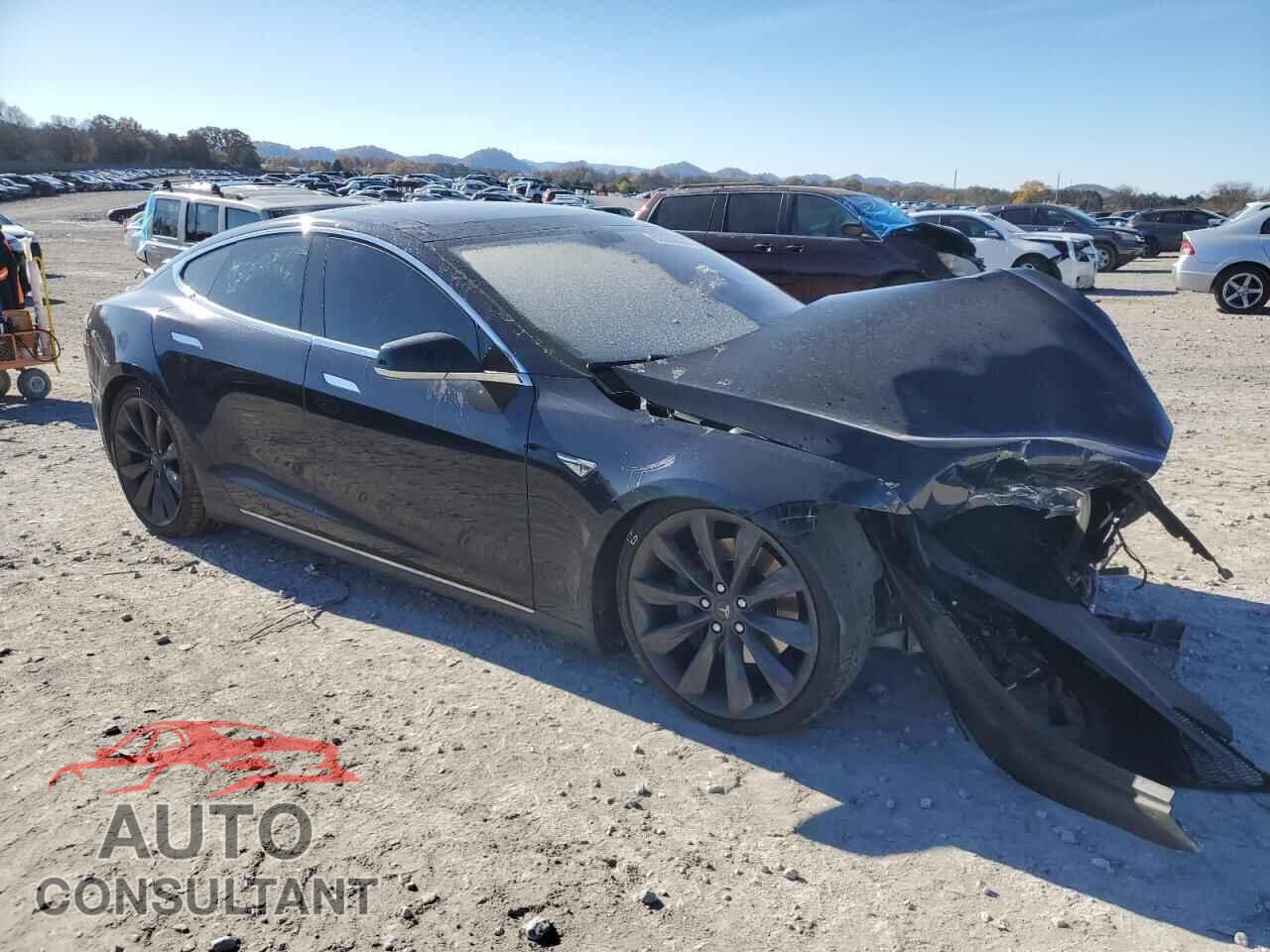 TESLA MODEL S 2013 - 5YJSA1DP9DFP17619