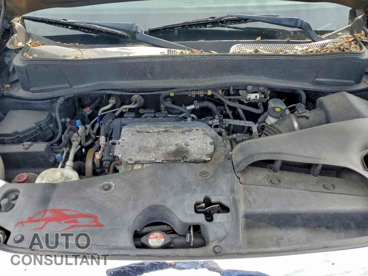 HONDA PILOT 2013 - 5FNYF3H67DB013377