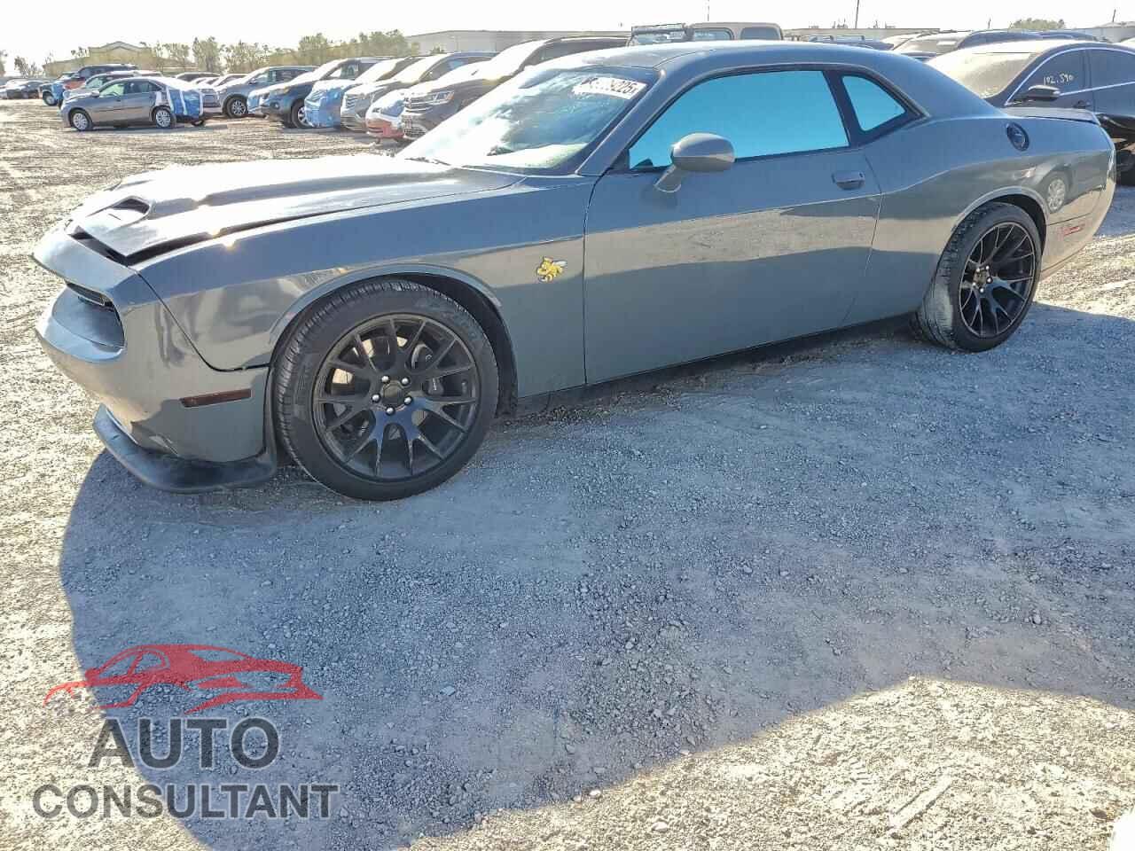 DODGE CHALLENGER 2019 - 2C3CDZFJ9KH723757