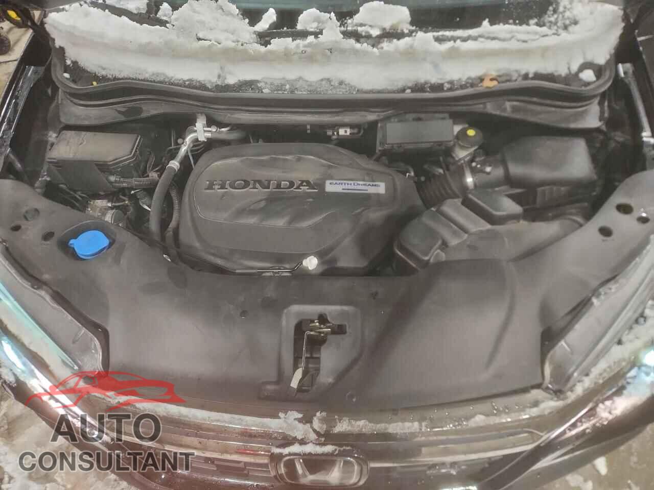 HONDA RIDGELINE 2019 - 5FPYK3F84KB003300