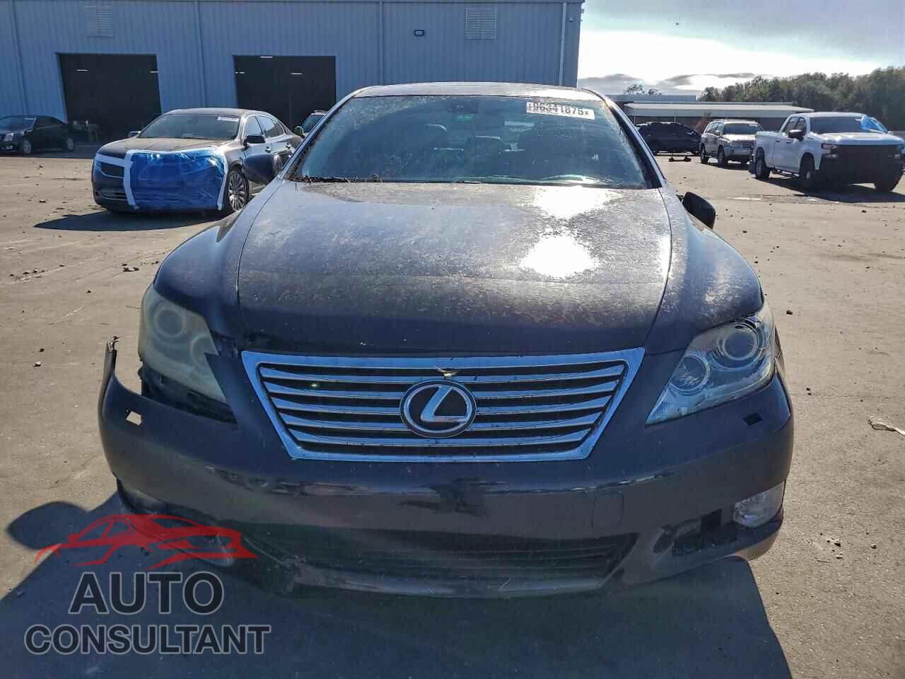 LEXUS LS460 2010 - JTHBL5EF5A5092414