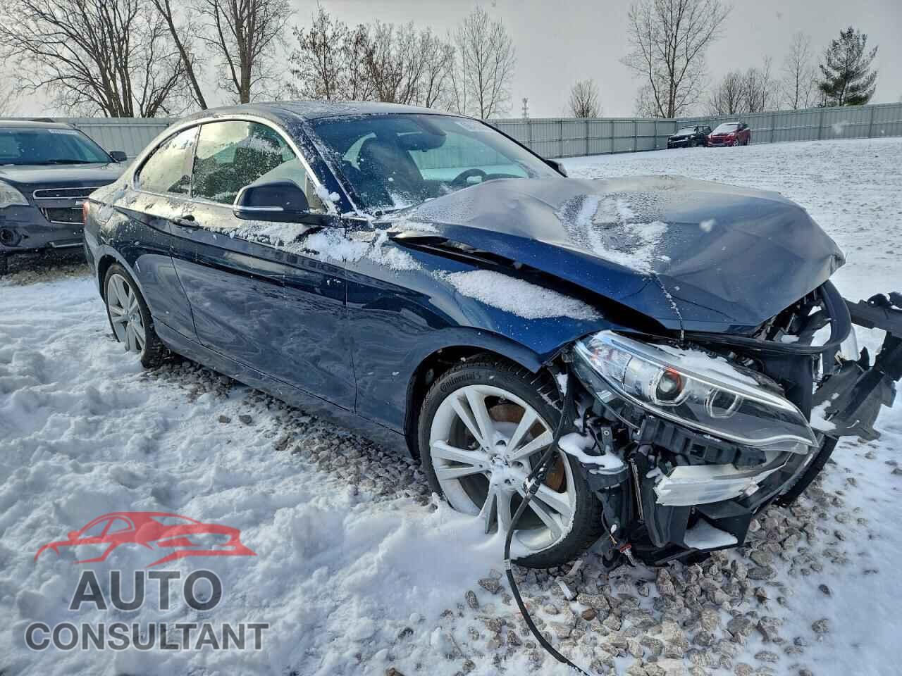 BMW 2 SERIES 2015 - WBA1F7C54FVX96232