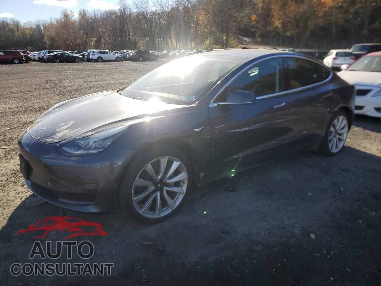 TESLA MODEL 3 2019 - 5YJ3E1EA6KF417231