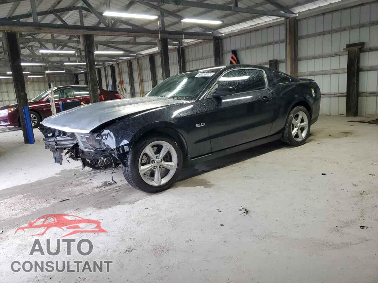 FORD MUSTANG 2012 - 1ZVBP8CF0C5225736