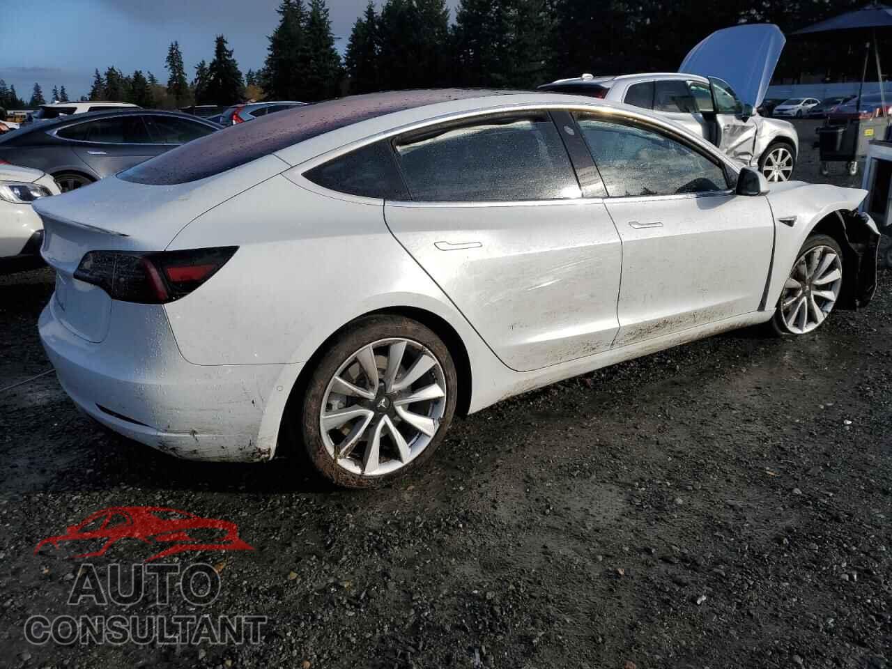 TESLA MODEL 3 2018 - 5YJ3E1EA9JF020563
