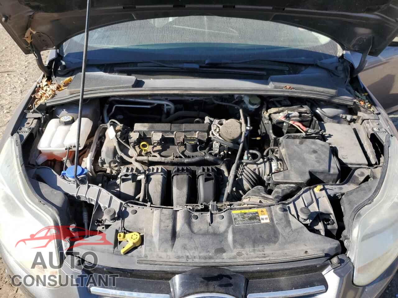 FORD FOCUS 2012 - 1FAHP3M25CL146737