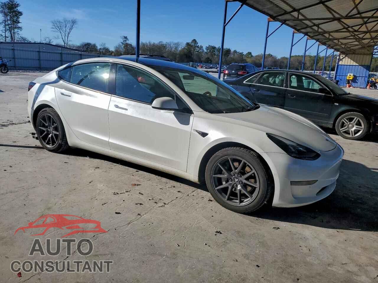 TESLA MODEL 3 2021 - 5YJ3E1EA3MF976819