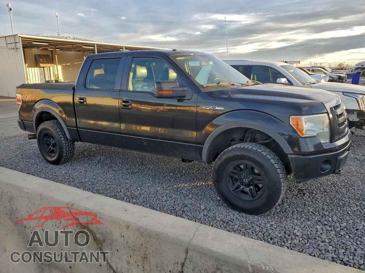 FORD F-150 2010 - 1FTFW1EV0AFC44250