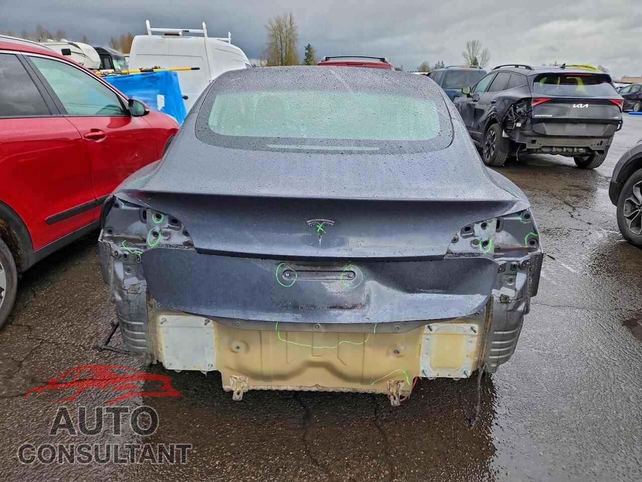 TESLA MODEL 3 2019 - 5YJ3E1EA9KF300873