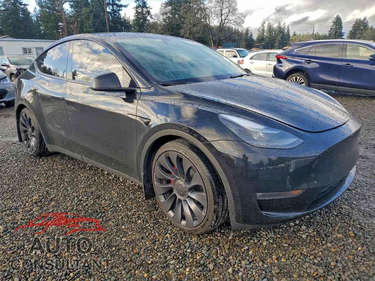 TESLA MODEL Y 2024 - 7SAYGDEF6RF061129