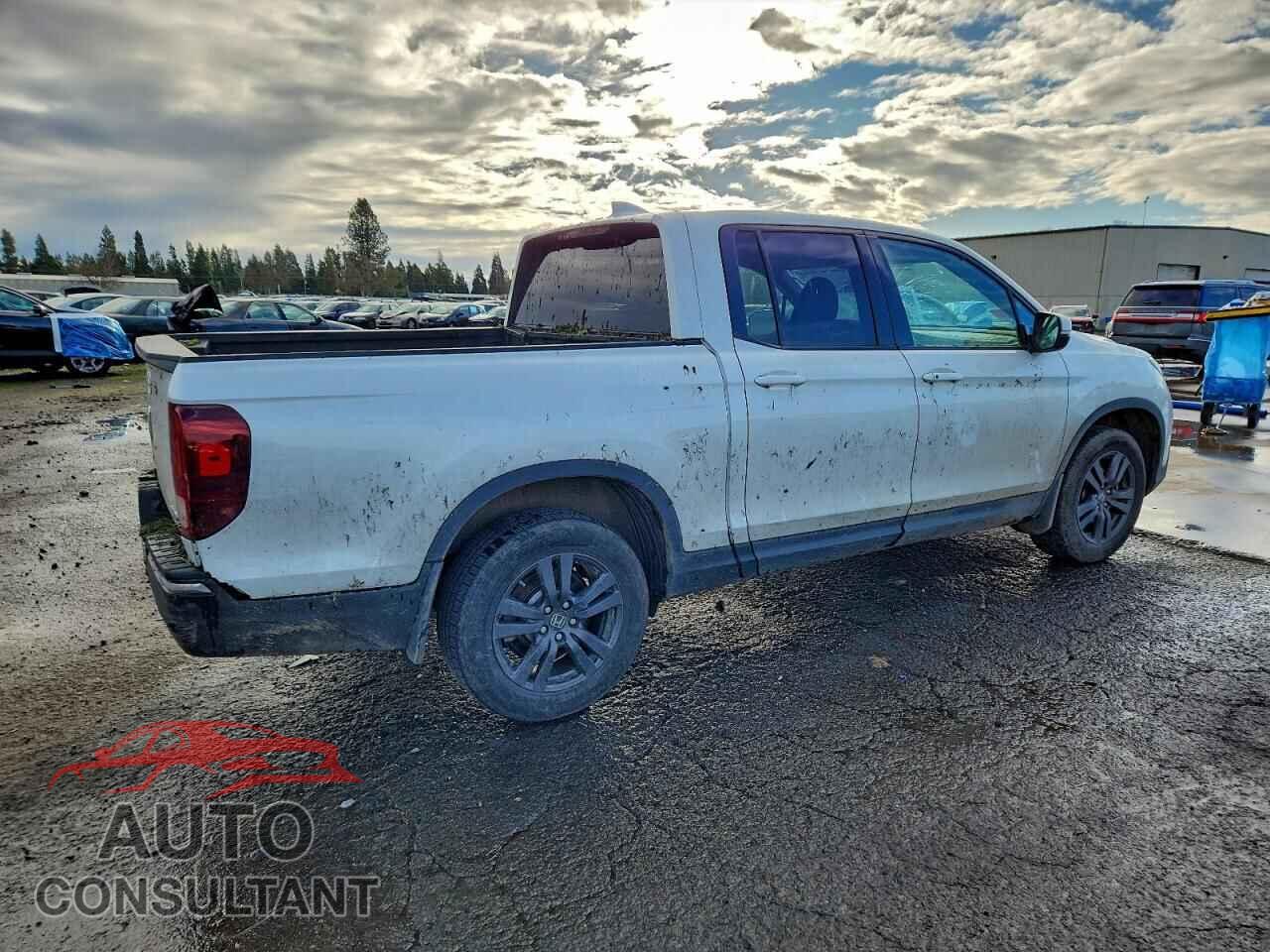 HONDA RIDGELINE 2019 - 5FPYK3F13KB049509