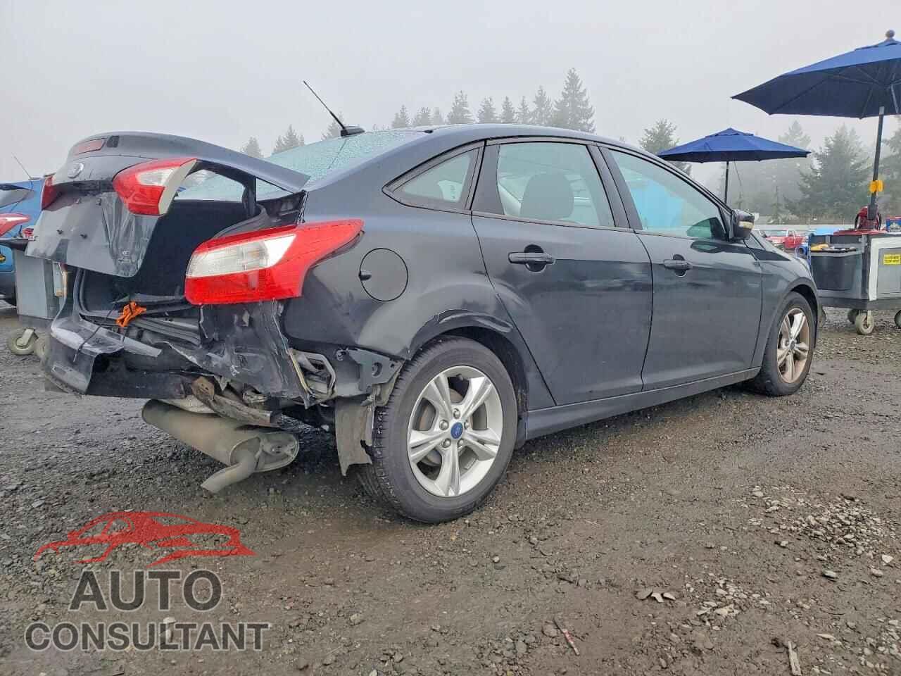 FORD FOCUS 2014 - 1FADP3F22EL391008