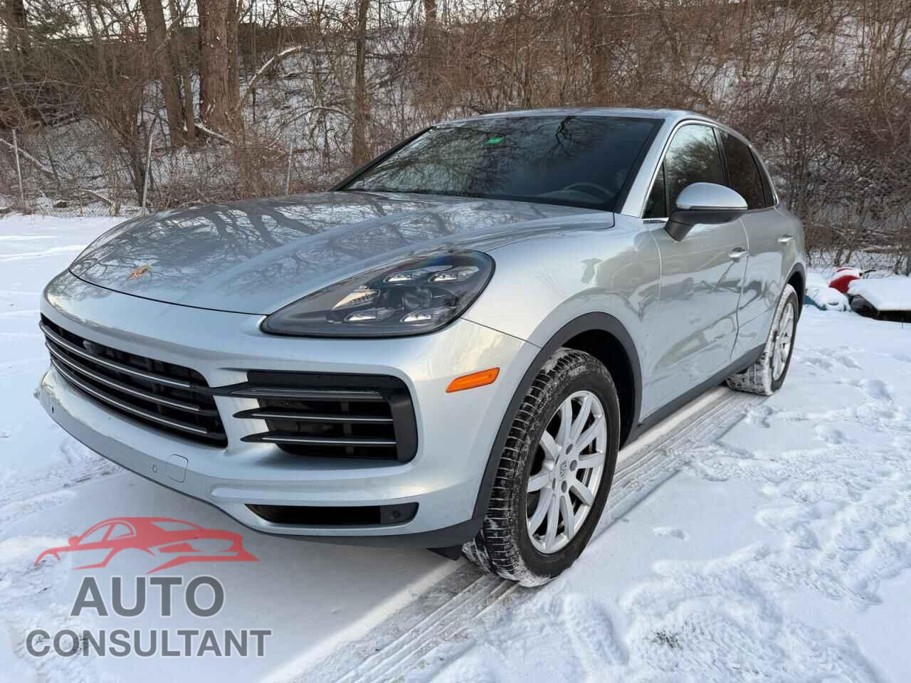PORSCHE CAYENNE 2020 - WP1AA2AY0LDA09682