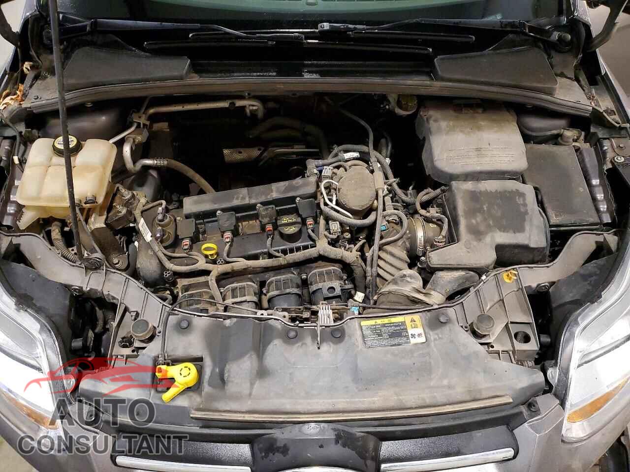 FORD FOCUS 2013 - 1FADP3F28DL296273