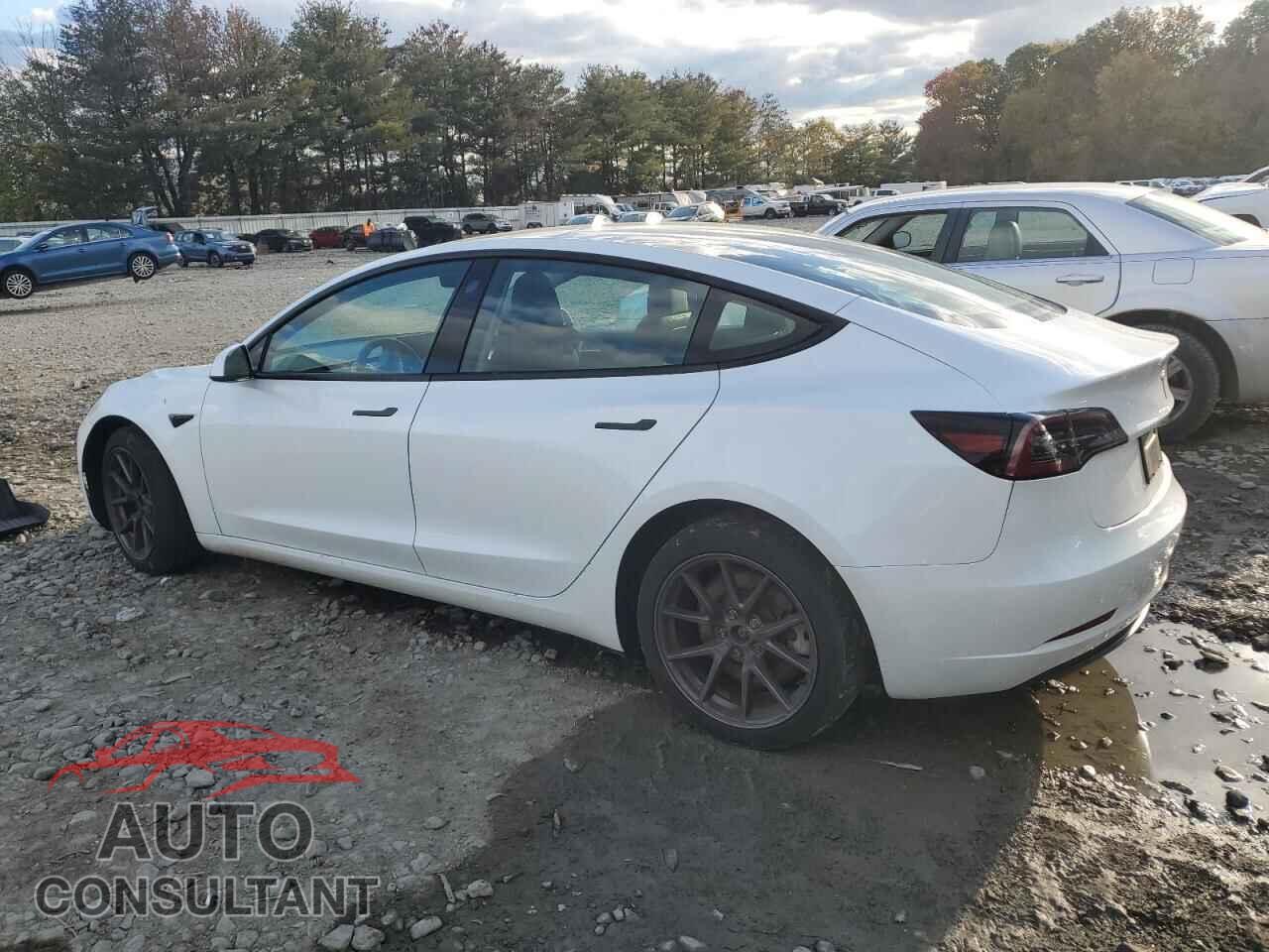 TESLA MODEL 3 2023 - 5YJ3E1EA5PF554829