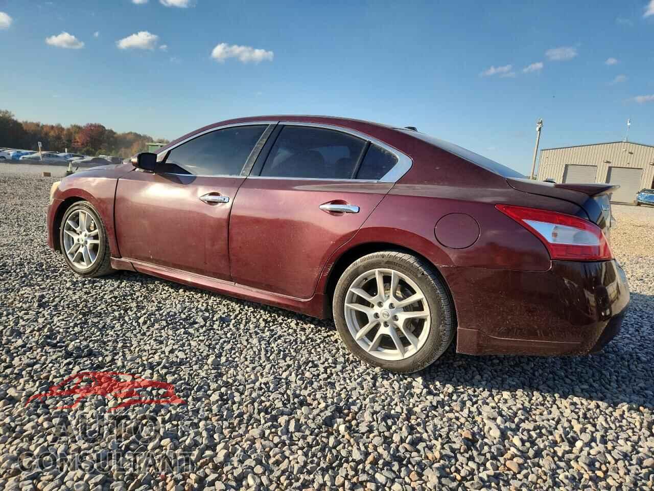 NISSAN MAXIMA 2011 - 1N4AA5AP7BC840049