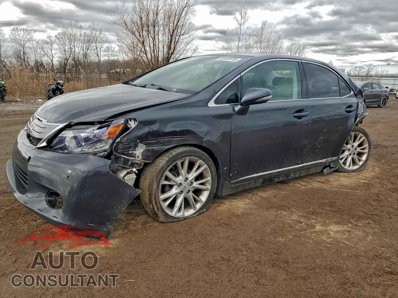 LEXUS HS 2010 - JTHBB1BA0A2003712