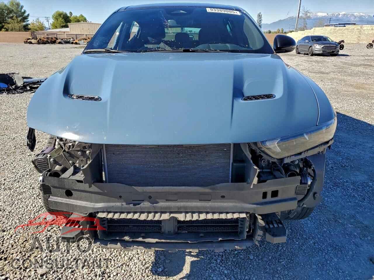 DODGE HORNET R/T 2024 - ZACPDFDW2R3A25842