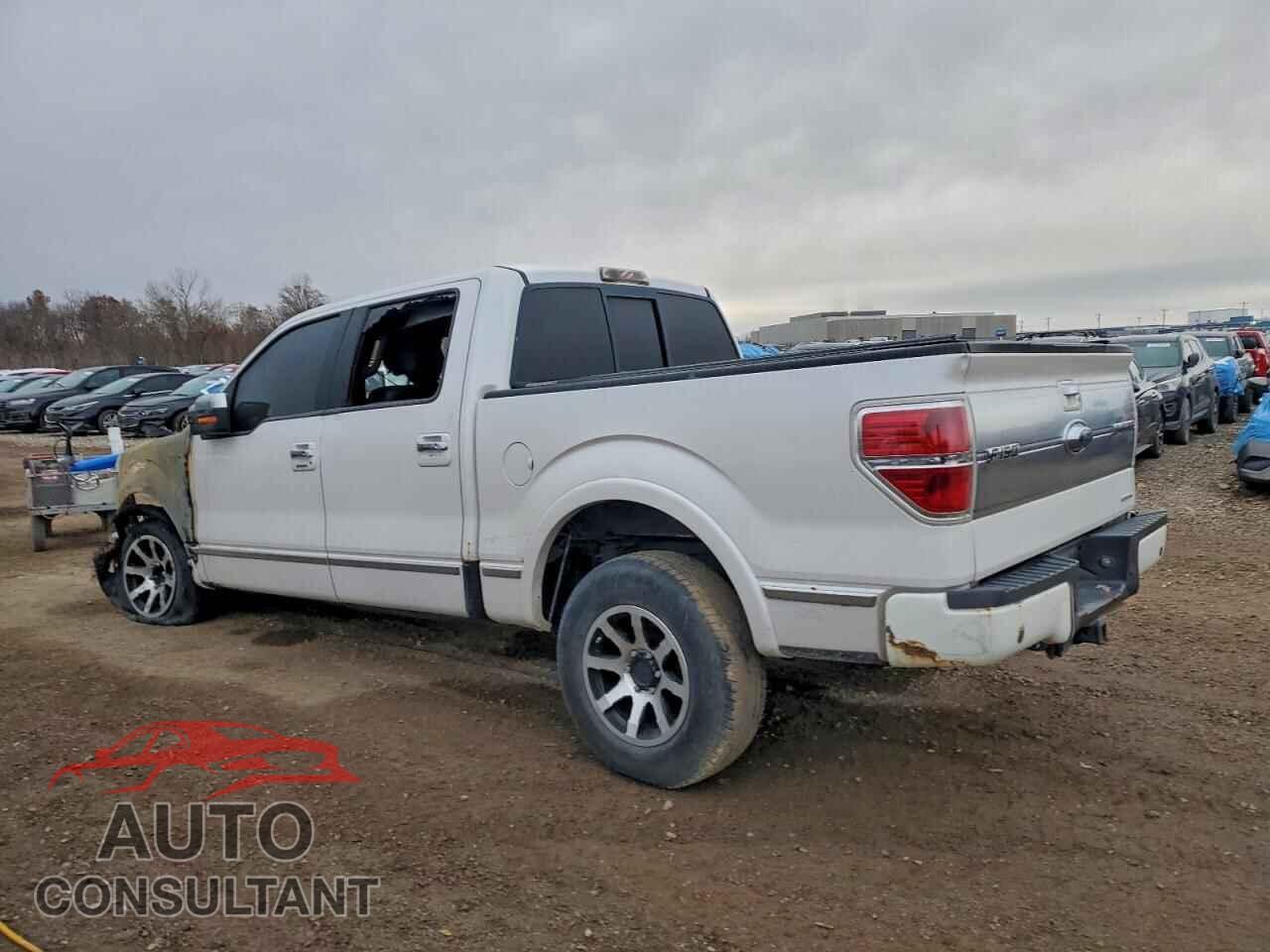 FORD F-150 2011 - 1FTFW1EF5BFB02759