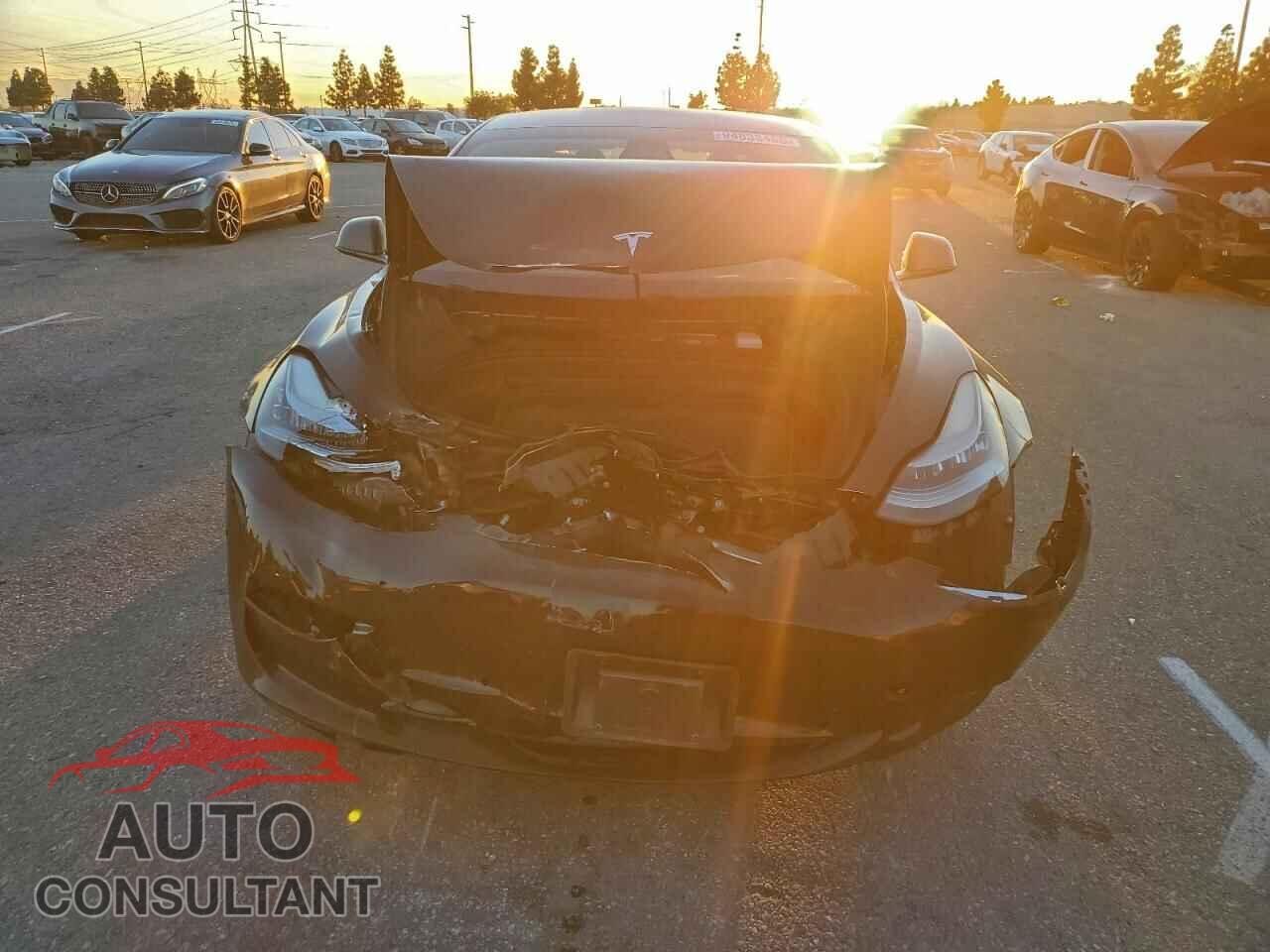 TESLA MODEL 3 2019 - 5YJ3E1EA5KF300479
