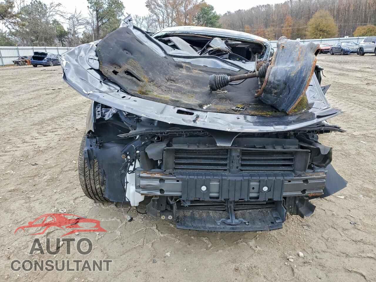 FORD MUSTANG 2019 - 1FA6P8TH8K5160936