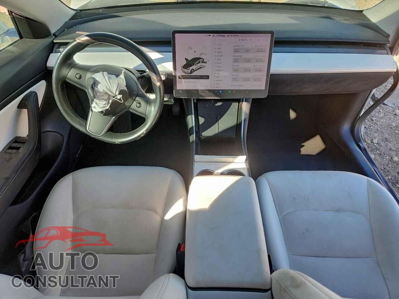 TESLA MODEL 3 2019 - 5YJ3E1EA3KF313019