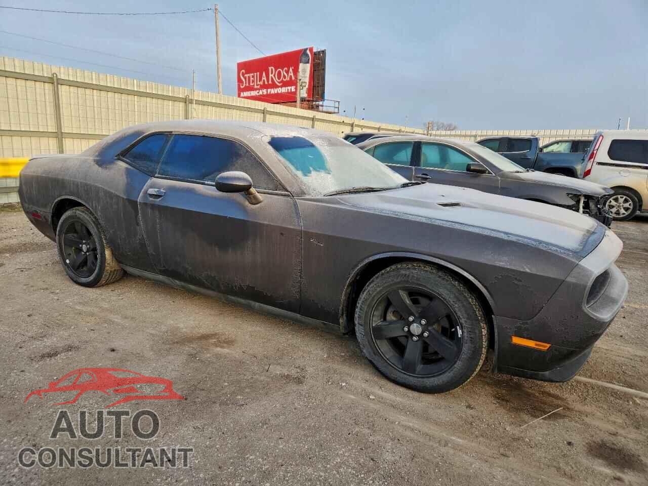 DODGE CHALLENGER 2013 - 2C3CDYAG3DH553775