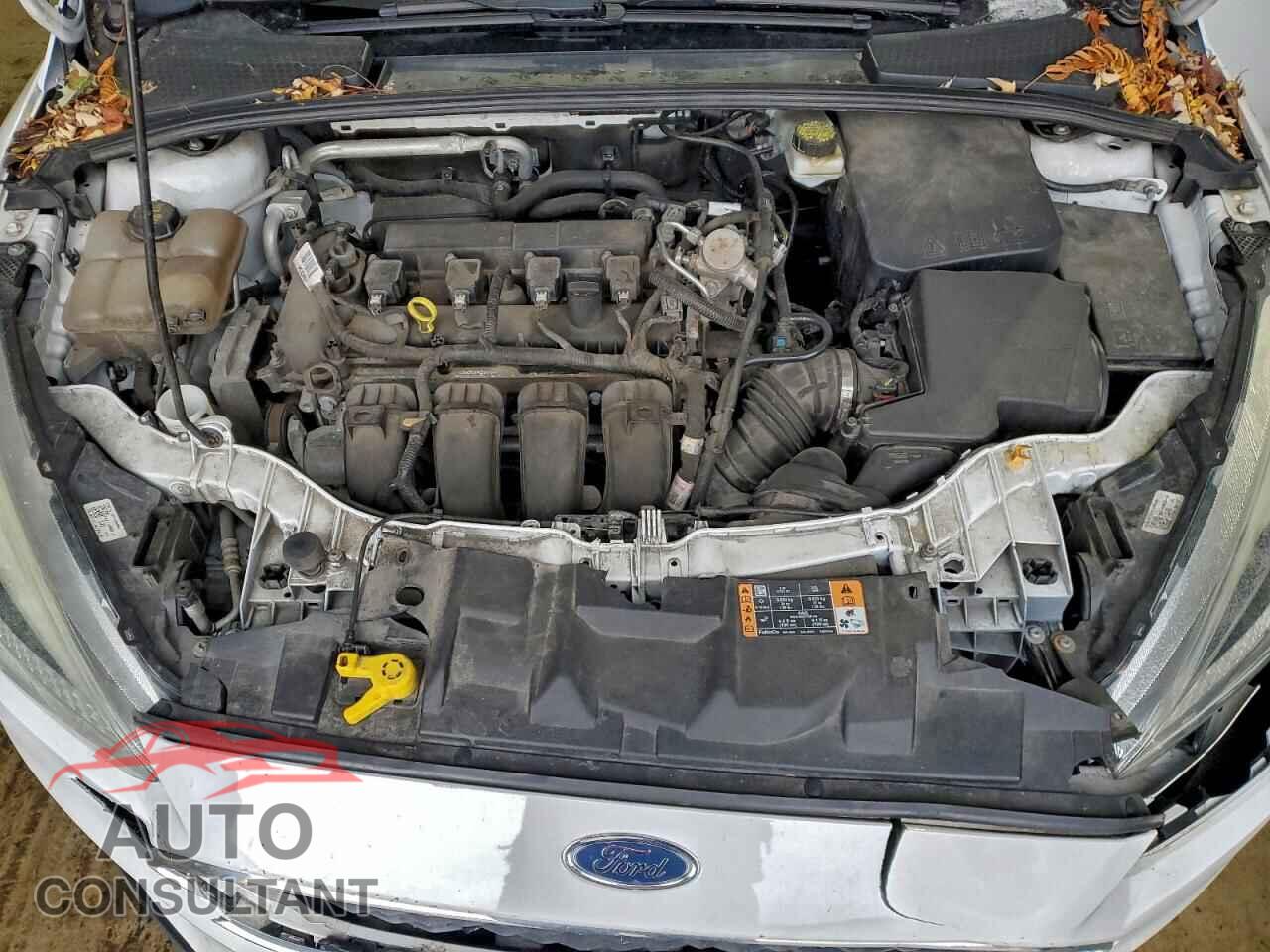 FORD FOCUS 2017 - 1FADP3F26HL247384