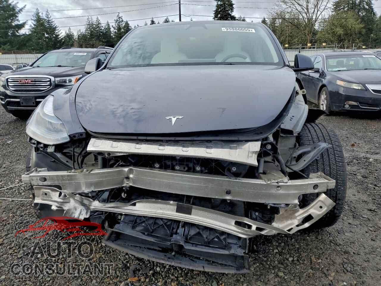 TESLA MODEL Y 2023 - 7SAYGDEF3PF903180