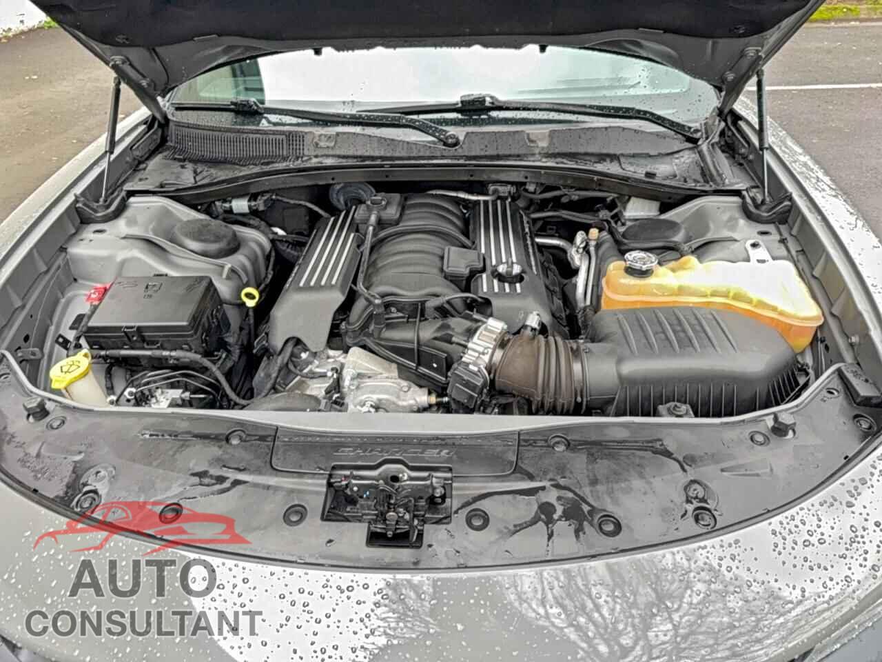 DODGE CHARGER 2019 - 2C3CDXGJ4KH511139