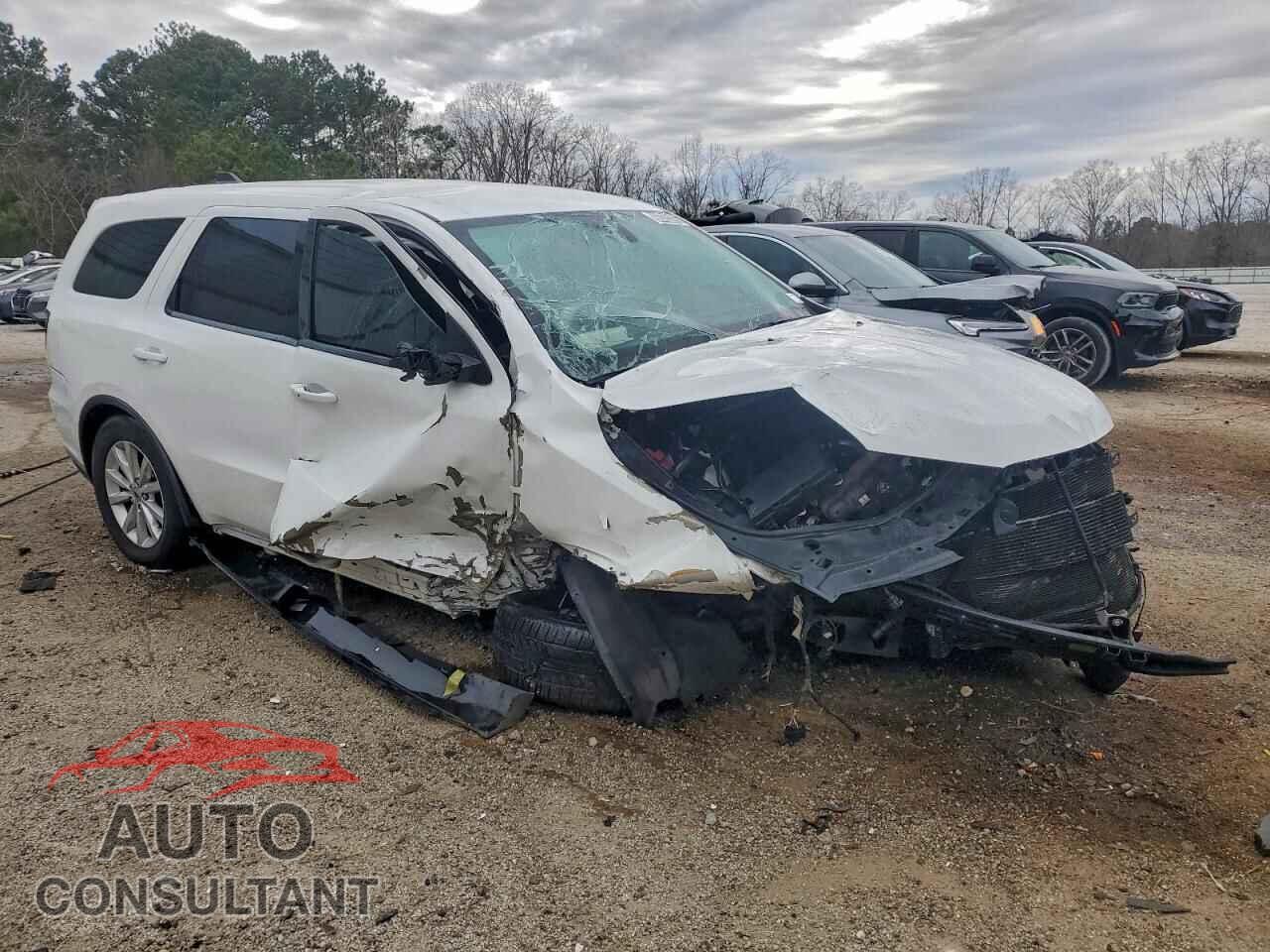 DODGE DURANGO 2019 - 1C4RDHAG5KC603193