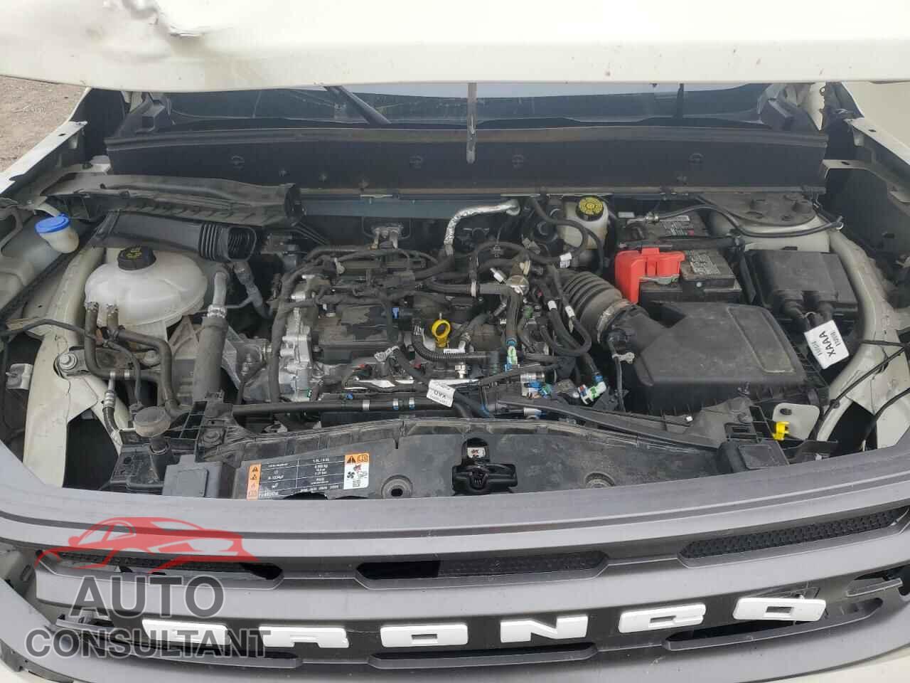 FORD BRONCO 2024 - 3FMCR9B60RRF32205