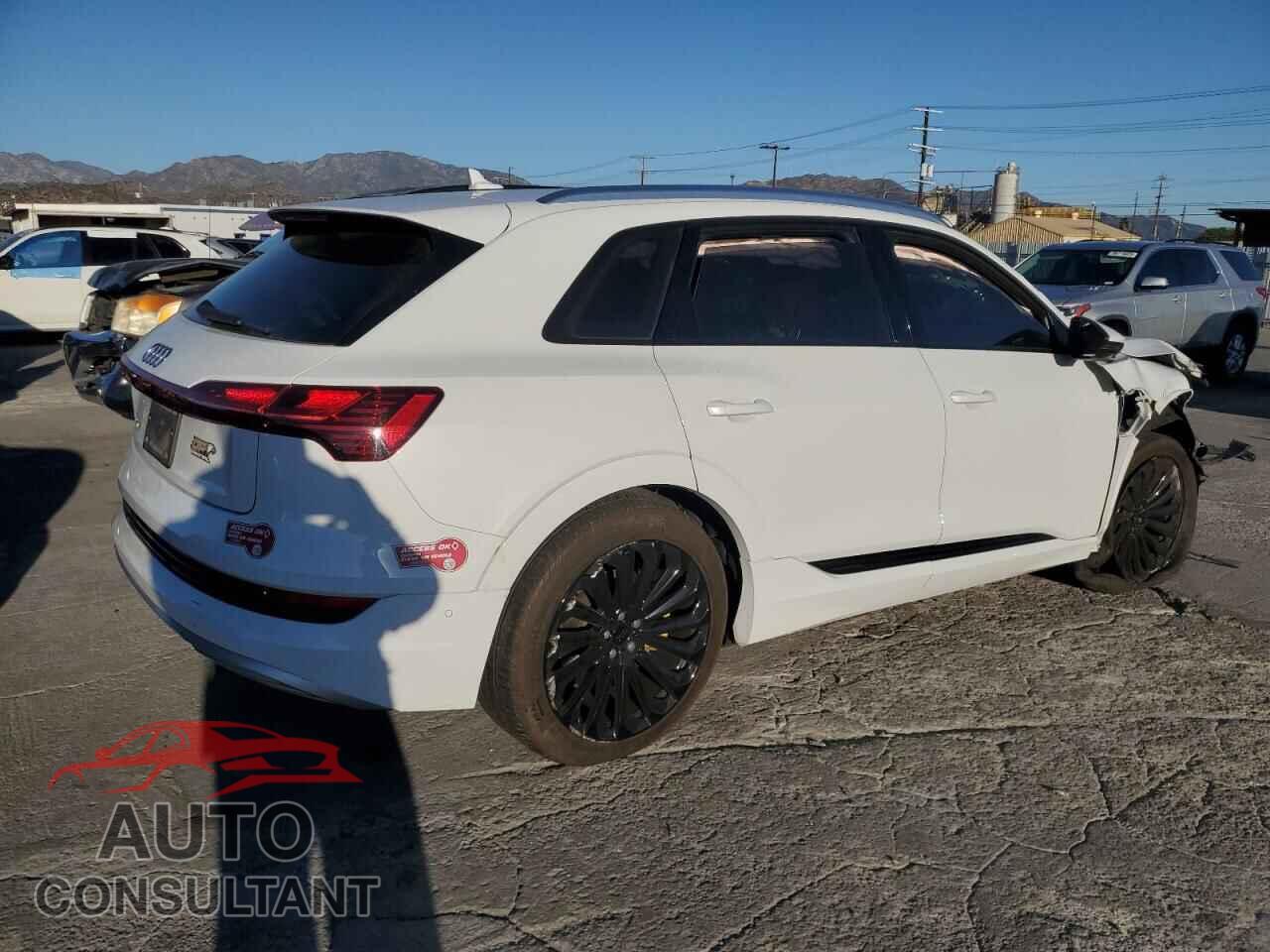 AUDI E-TRON 2019 - WA1VAAGE0KB021149
