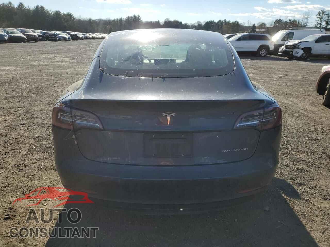 TESLA MODEL 3 2019 - 5YJ3E1EA7KF417142