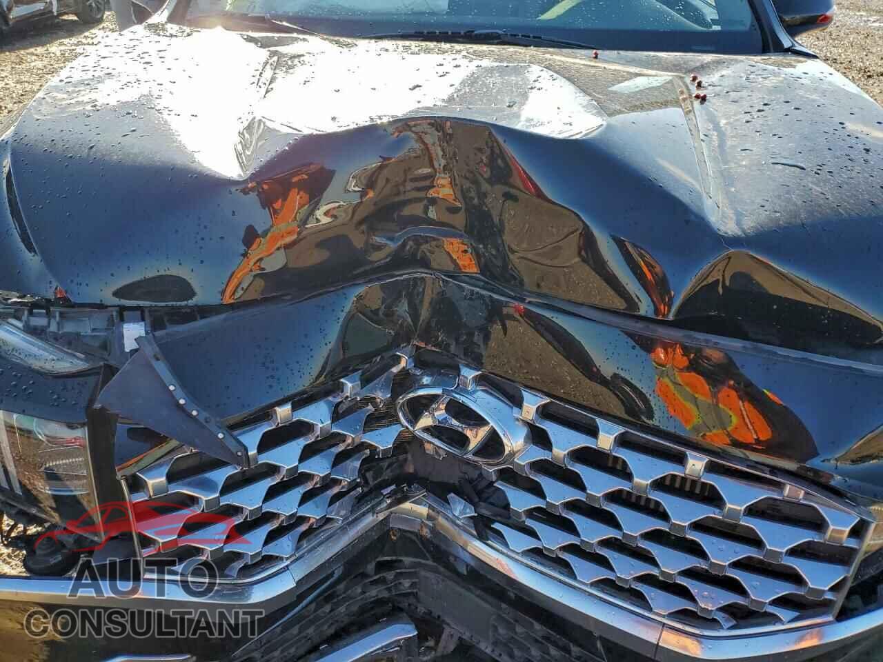 HYUNDAI SANTA FE 2023 - 5NMS5DA13PH016888