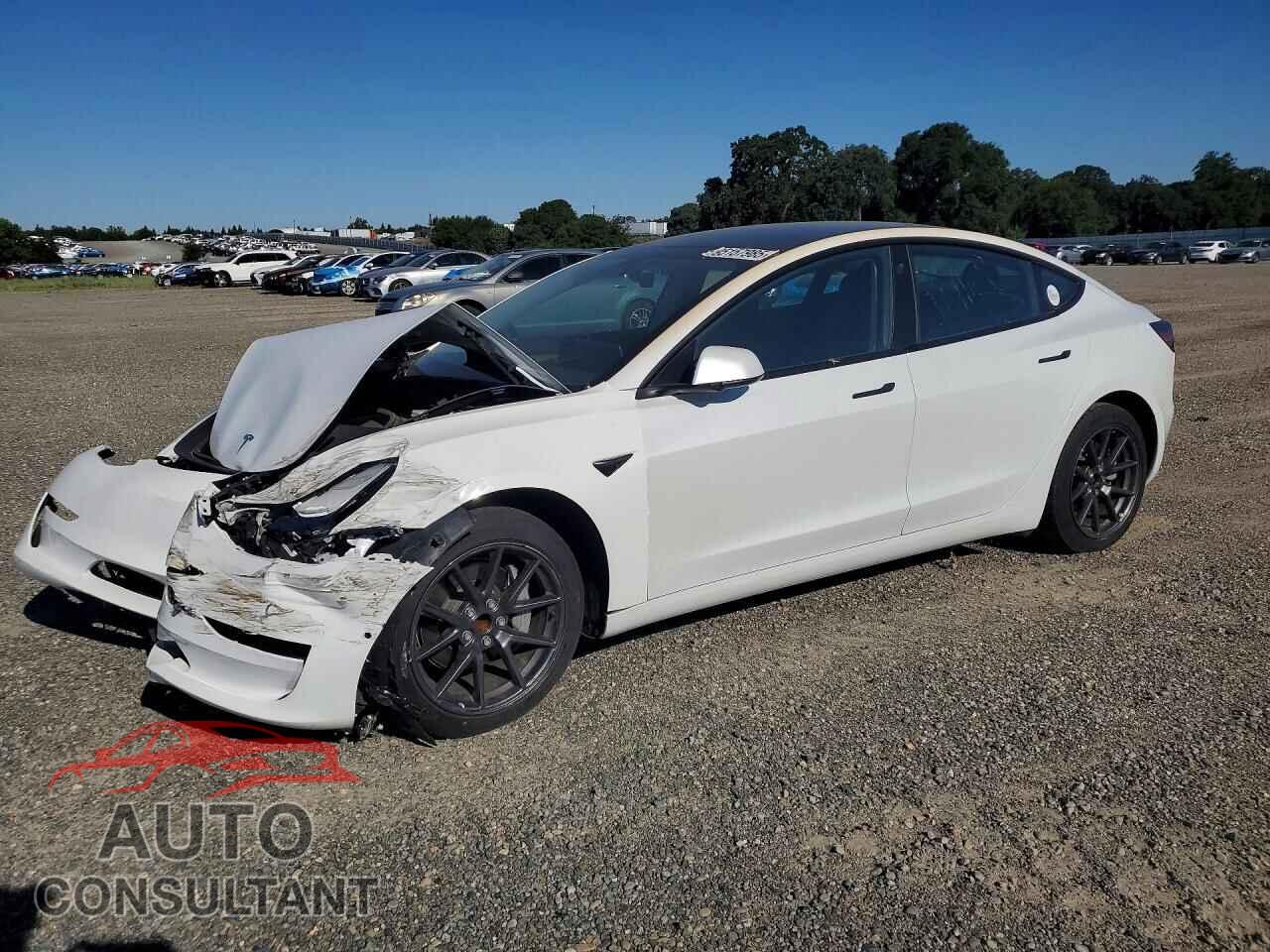 TESLA MODEL 3 2022 - 5YJ3E1EA6NF362039