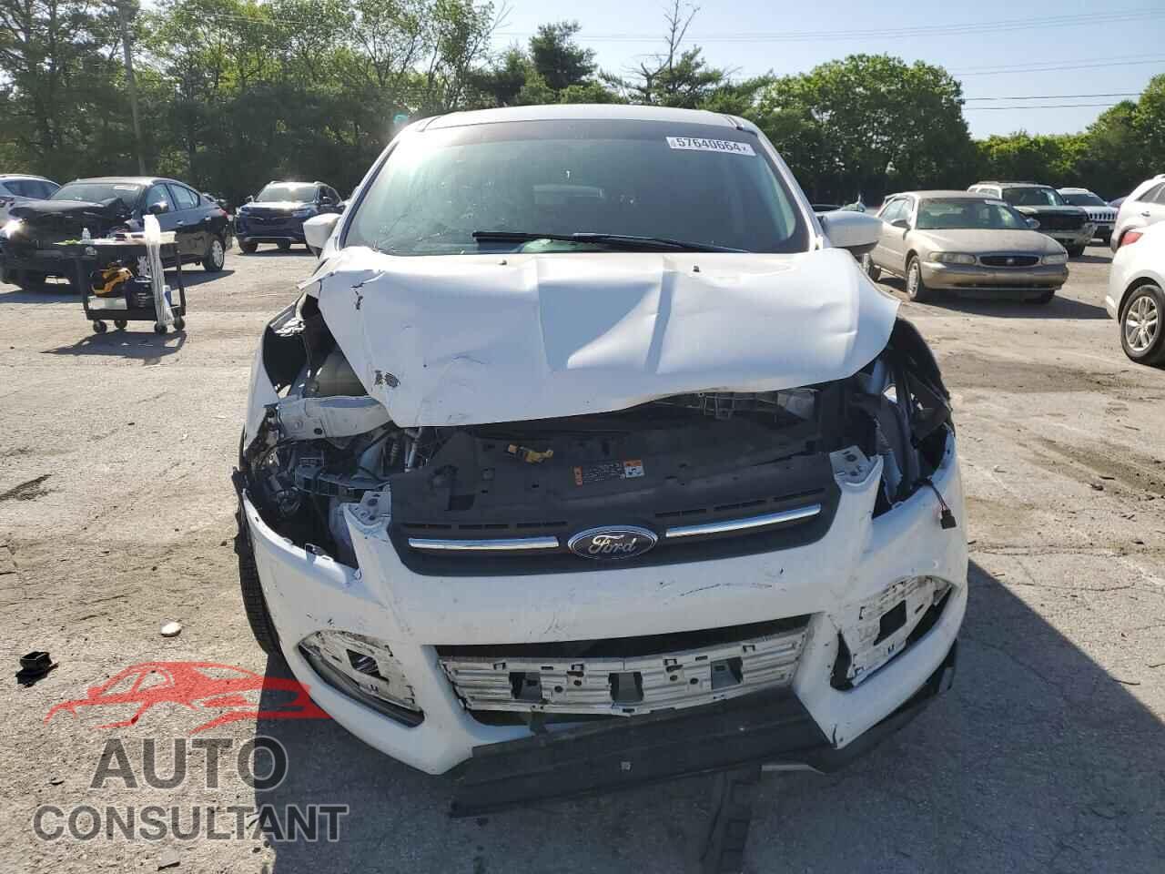 FORD ESCAPE 2014 - 1FMCU0GX4EUD66494