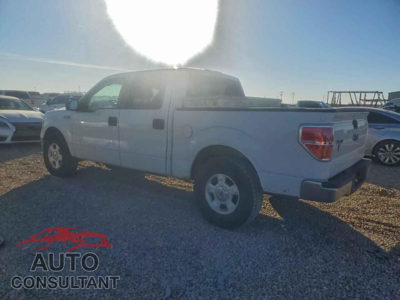 FORD F-150 2013 - 1FTFW1CT3DFD49810