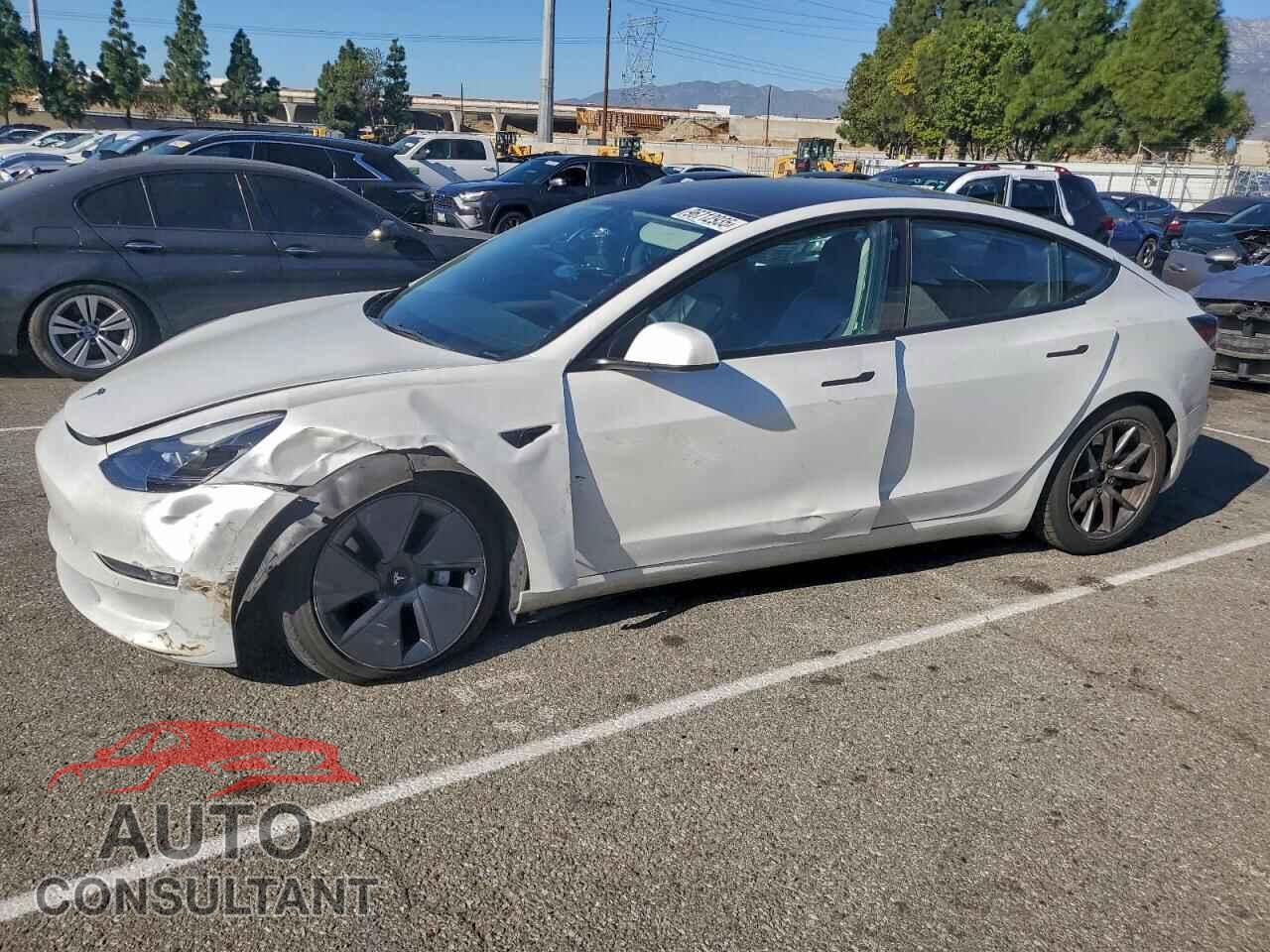 TESLA MODEL 3 2021 - 5YJ3E1EA0MF091011